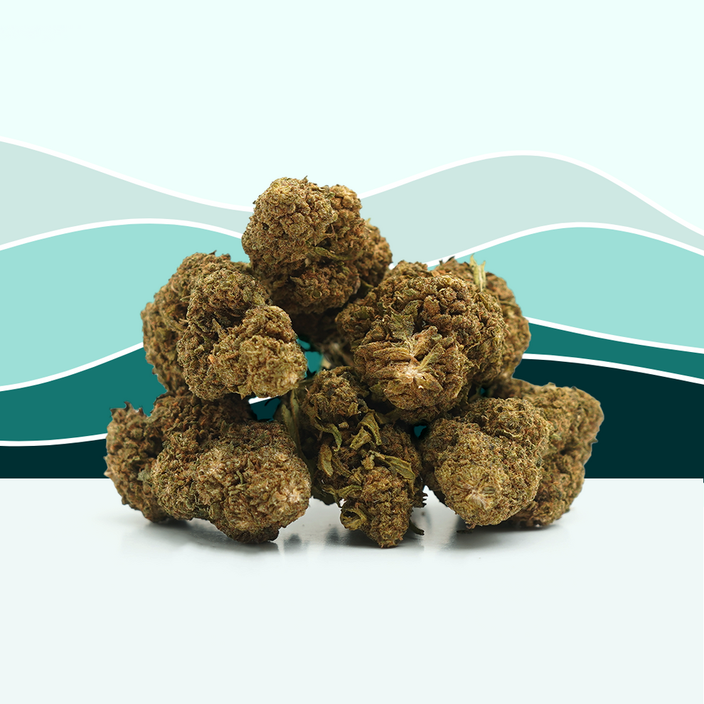 OG Kush CBD [Greenhouse]