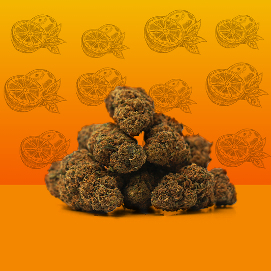 Orange Bud CBD 🍊 [Greenhouse]