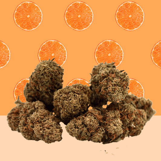 Orange Bud 🍊 [Greenhouse] - Pass de Mama 👑