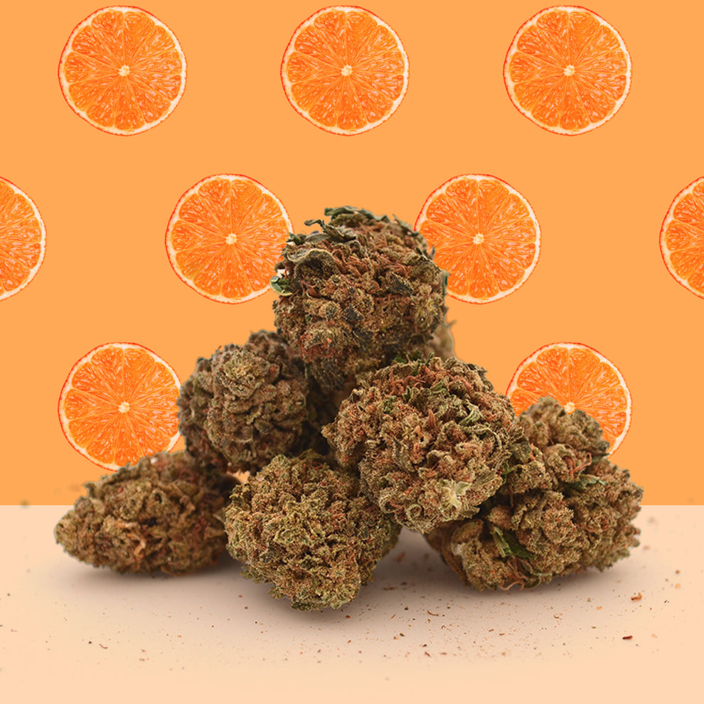 Orange Bud CBD Small Buds