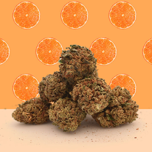 Petites Têtes Orange Bud [Greenhouse]  - Pass de Mama 👑