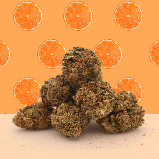 Small Buds  Orange Bud CBD 🍊 (100% de desconto)