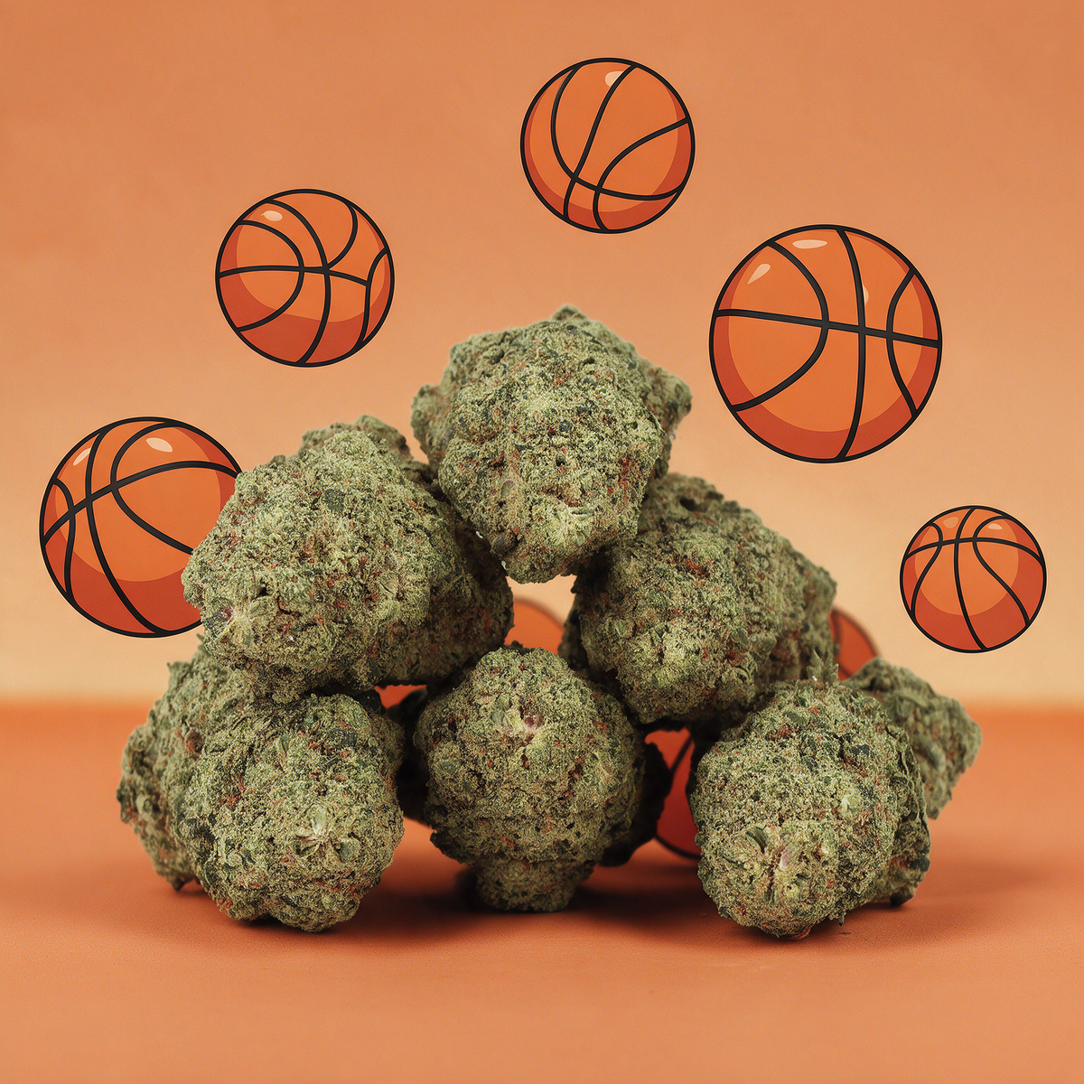 Payton CBD 🏀 [Hydroponique]