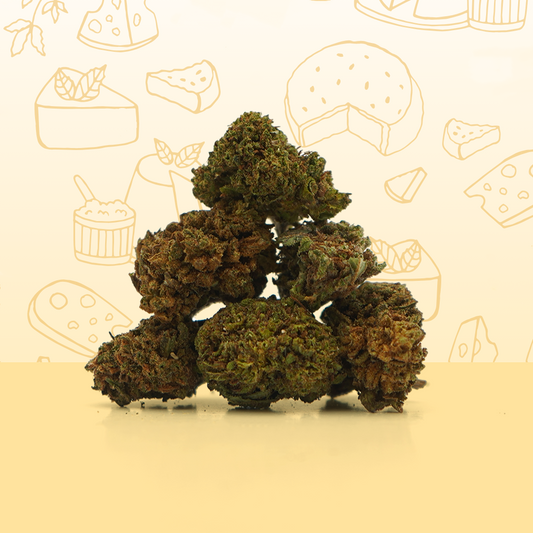 Cheese CBD Small Buds 🧀