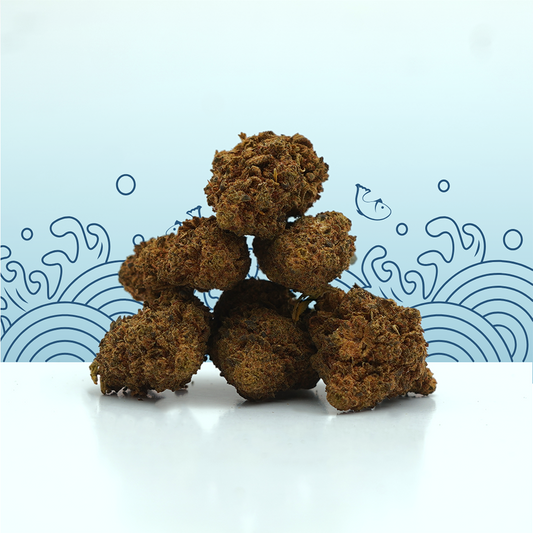 🎁 OG Kush CBD Small Buds 👮 (100% de desconto)