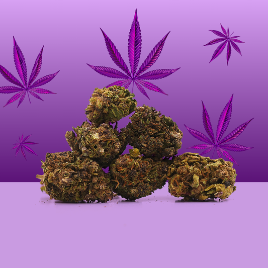 Purple Haze CBD Small Buds 🟣