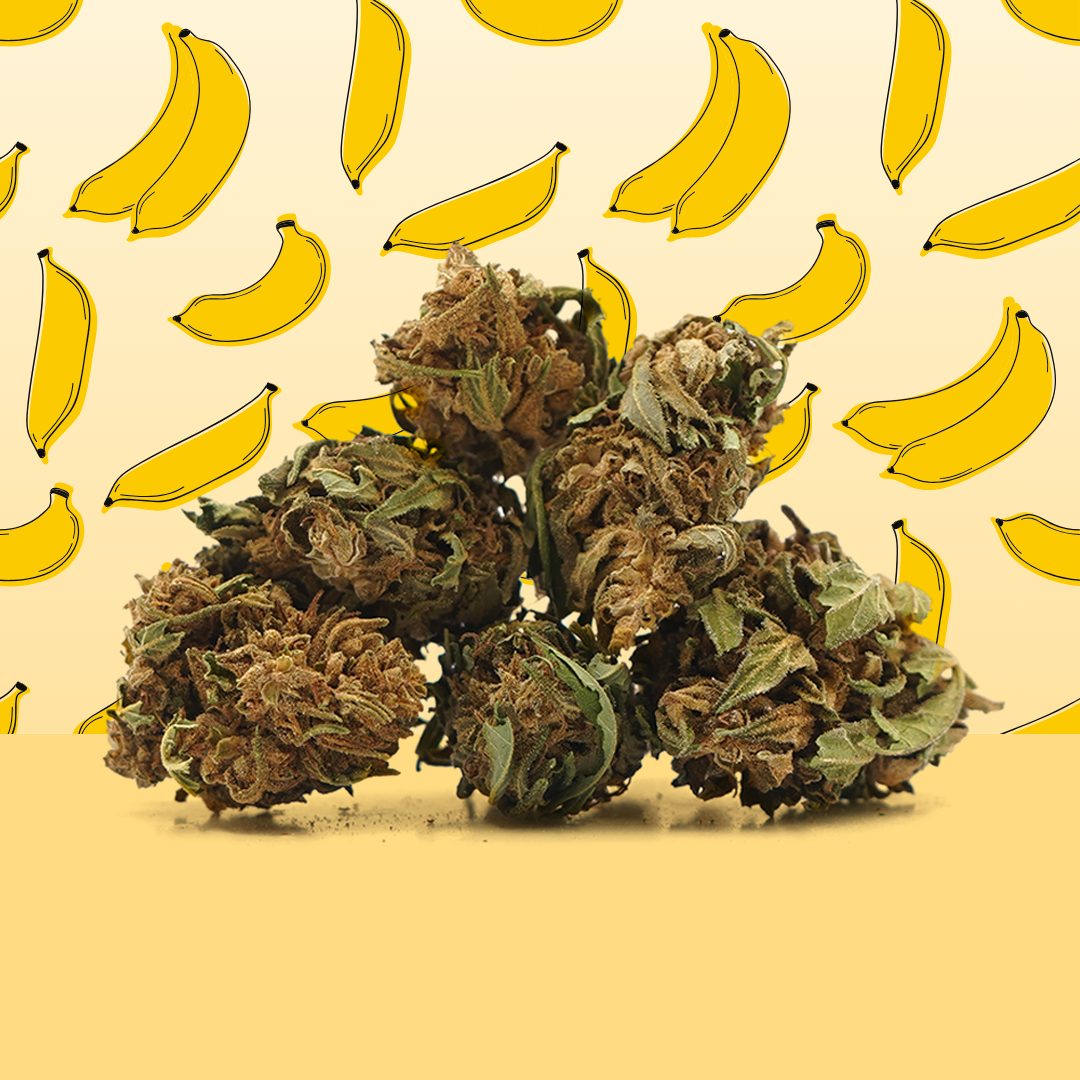 🎁 Banana CBG Small Buds 🍌 (100% izklop)