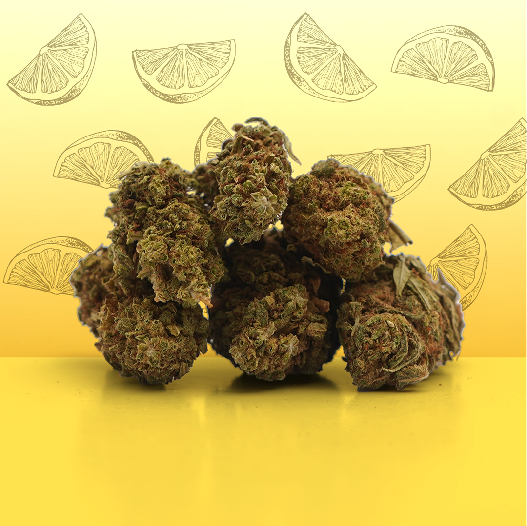 Lemon CBD Small Buds