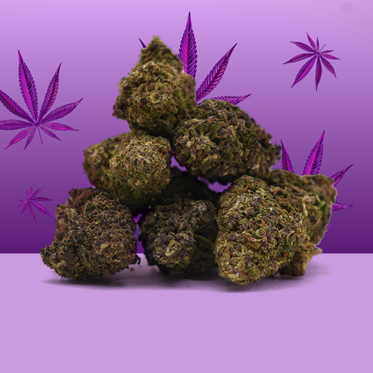CBD  [Greenhouse] Purple Haze 🔮 (100% de desconto)