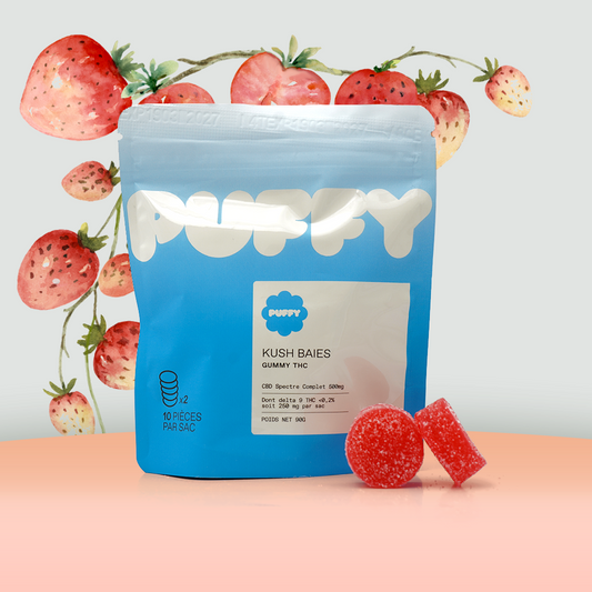 CBD  Strawberry Gomas THC 25 mg e 25 mg - Kush 🍓 (100% de desconto)