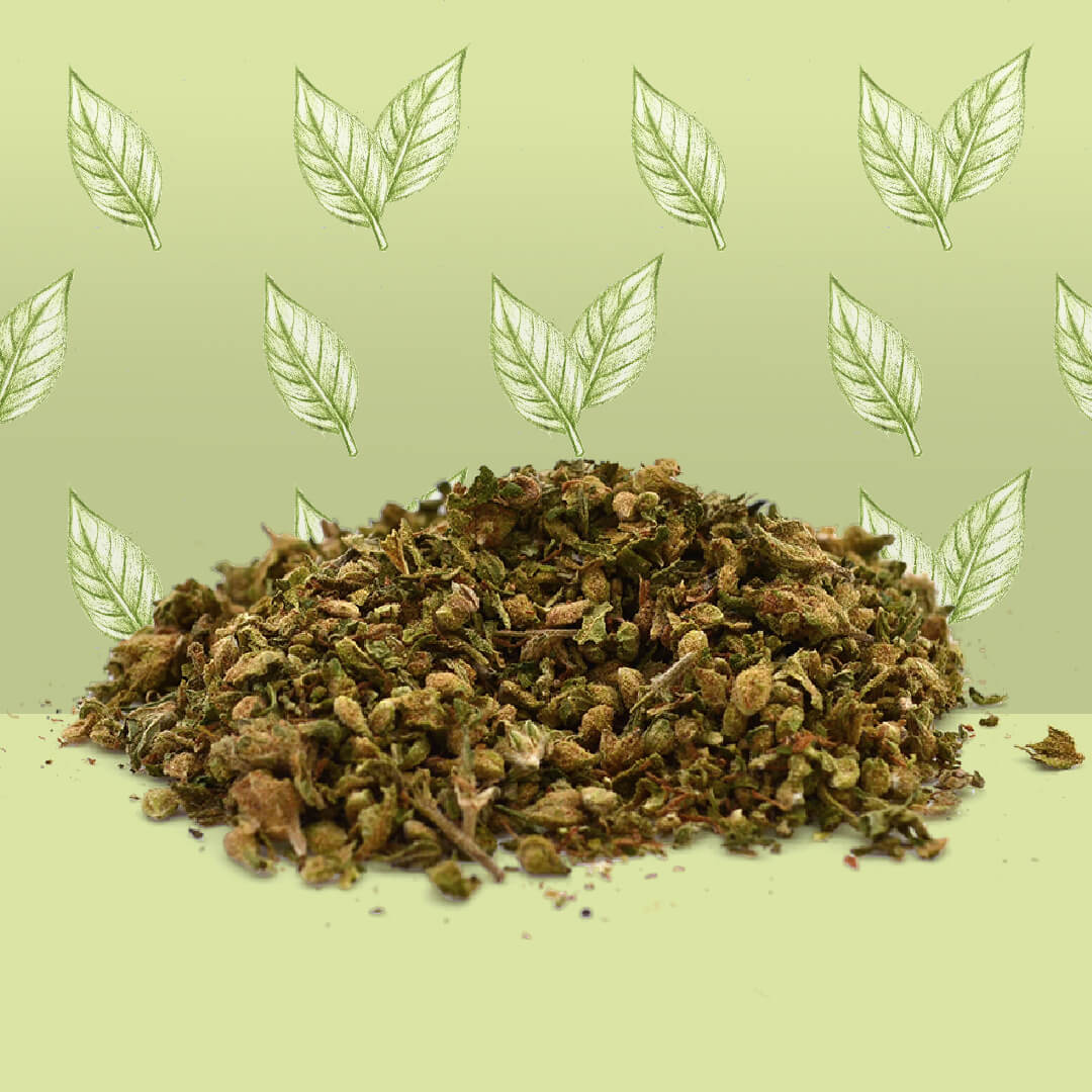 Trim CBD [sous-serre]