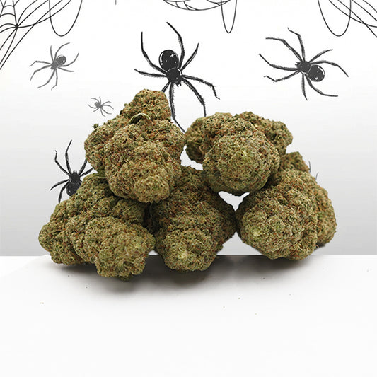 Une photo de White Widow CBD Small Buds ur un fond 