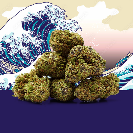 🎁 Blue Zushi CBD 🍣 [Greenhouse] (100% off)