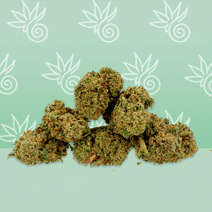 Amnesia CBD Small Buds 🌌.