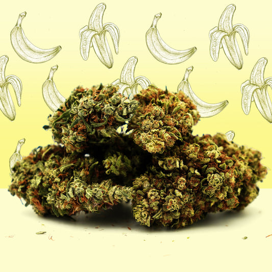 🎁 Banana Cream CBG 🍌 [Greenhouse] (100% aus)