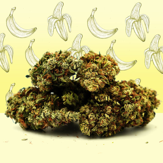 Banana Cream CBG [Greenhouse] - Mamapas 👑