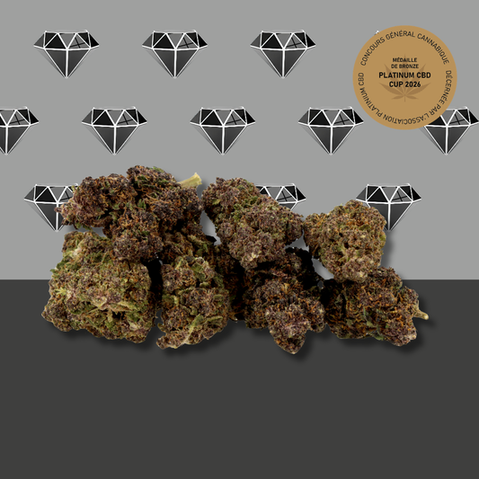 Black Diamond💎[Greenhouse]