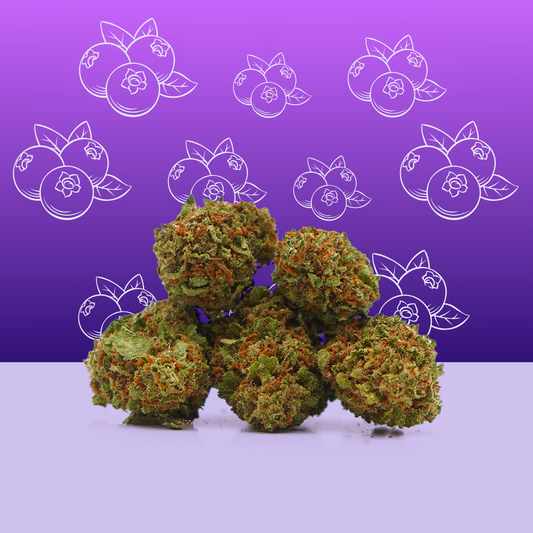 Blueberry CBD 🍇 [Greenhouse]