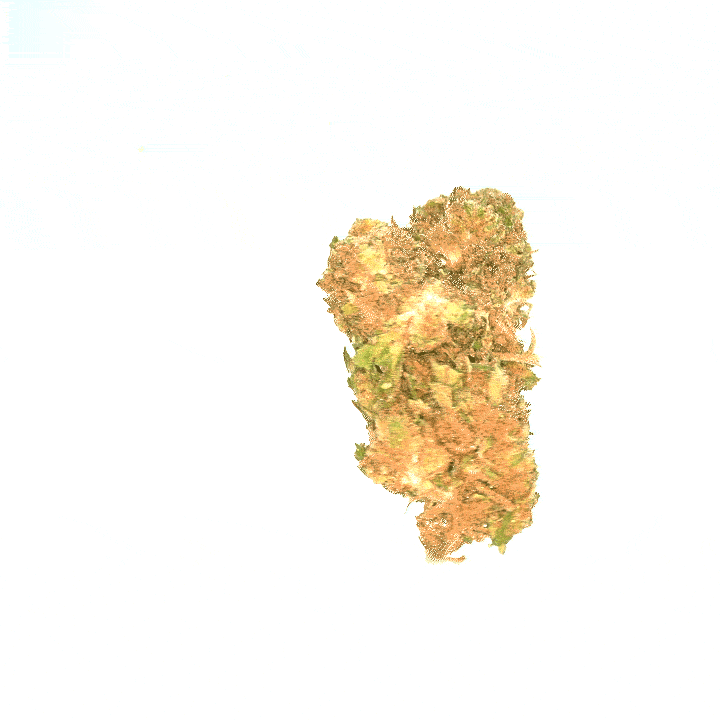 Bubba Kush CBD Greenhouse - Flor Premium de invernadero