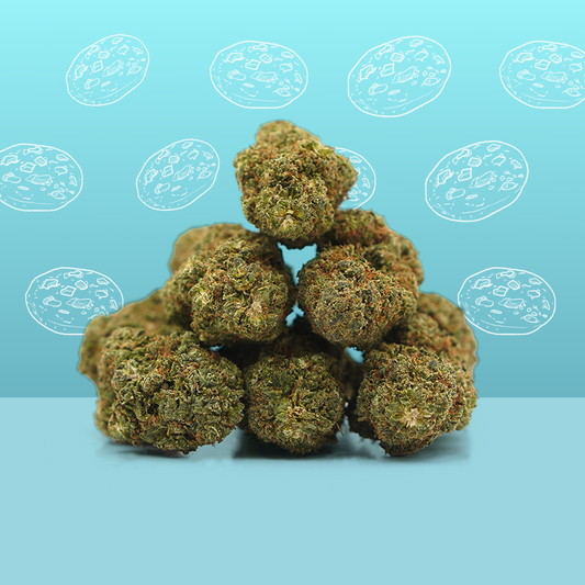Cookie Kush CBD 🍪 [Intérieur]
