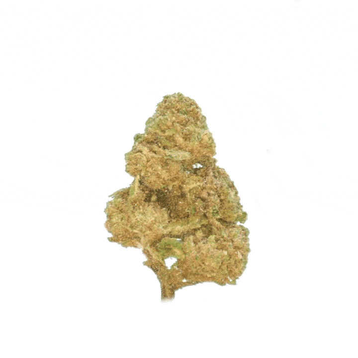 Cookie Kush CBD Indoor - Fleur premium relaxante Cookie Kush CBD Indoor - Fleur premium relaxante