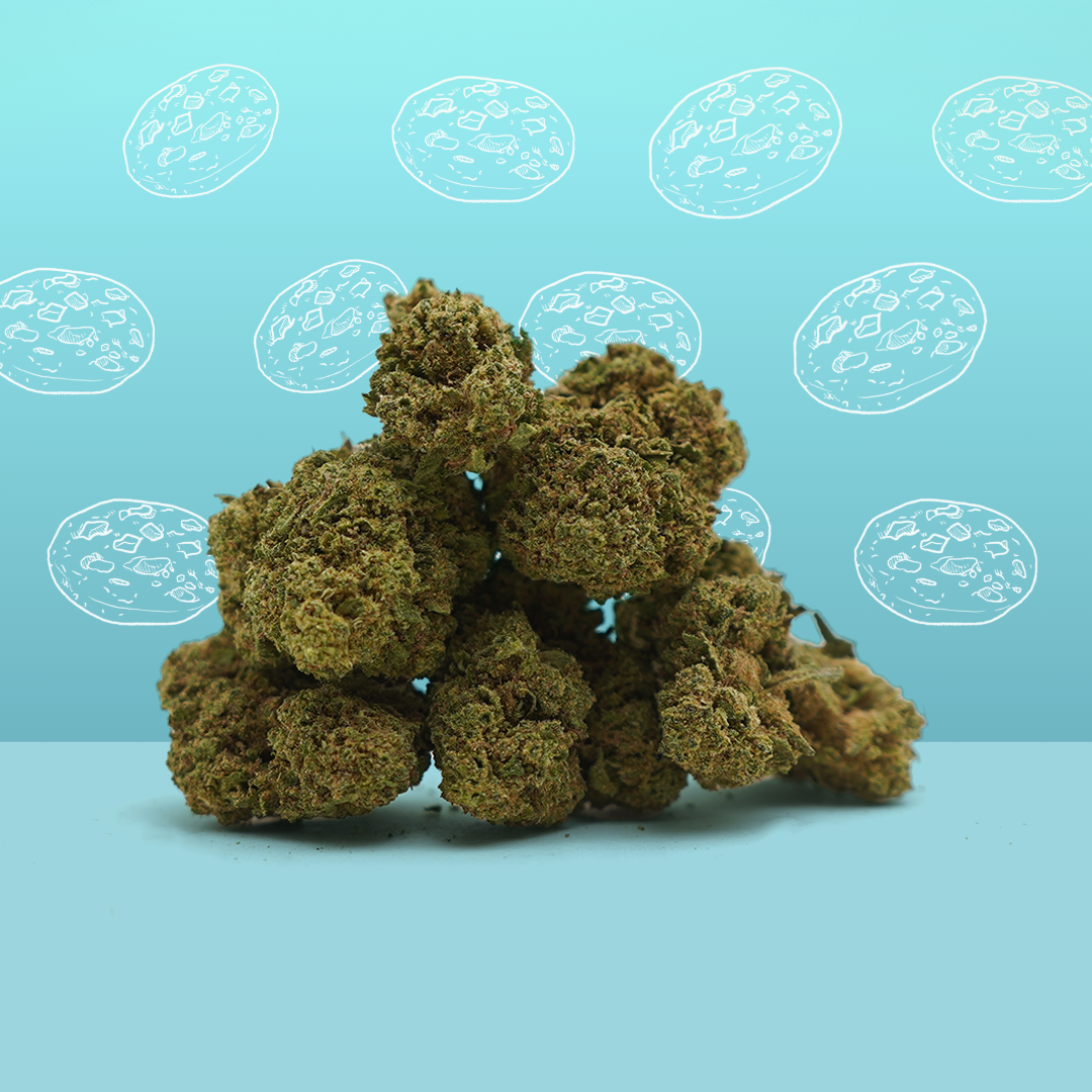 CBD  [Indoor] Cookie Kush 🍪 (100% de desconto)