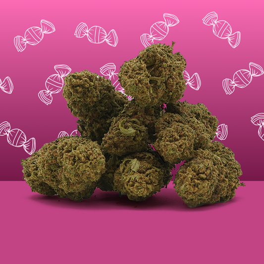 CBD  [Greenhouse] 🎁 Zkittlez 🍬 (100% de desconto)