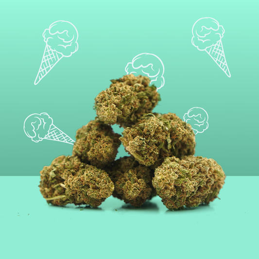 Gelato CBD 🍦 [Intérieur]