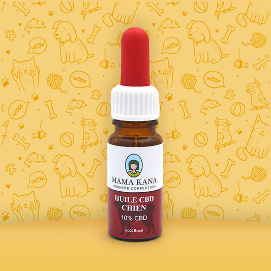 10% CBD Öl für Hunde 🐶.