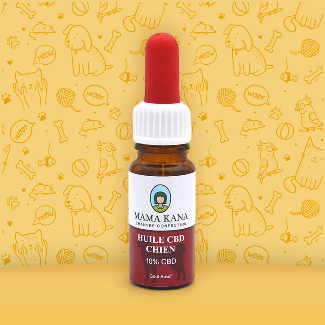 CBD 10% de óleo para cães de 🐶 (100% de desconto)
