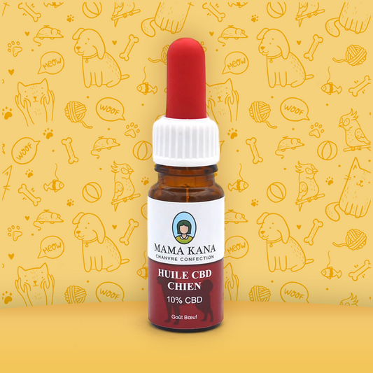 CBD 10% de óleo para cães de 🐶 (100% de desconto)