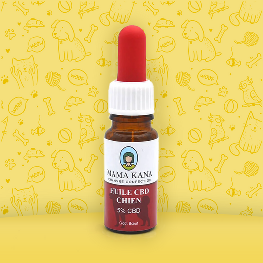 CBD Óleo para cães a 5% de 🐶 (100% de desconto)