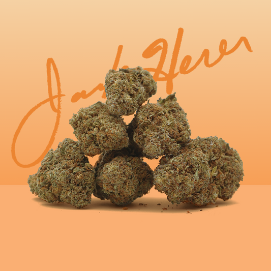 CBD  [Greenhouse] Jack Herer 🧔🏻 (100% de desconto)