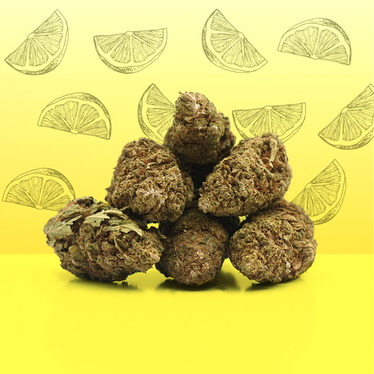 Lemon CBD 🍋 [Greenhouse] (100% de desconto)