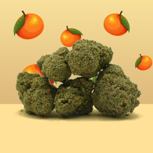 CBD Mandarim ☀️ [Hidroponia] (100% de desconto)