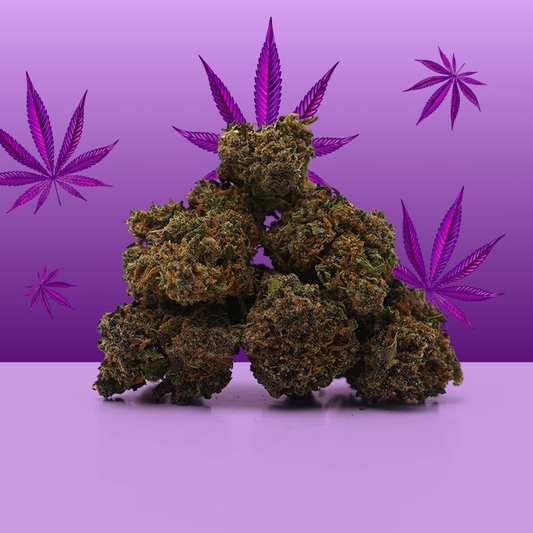 Purple Haze CBD Small Buds 🟣