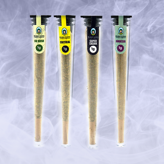 Pack découverte Pre-rolls CBD 🧘