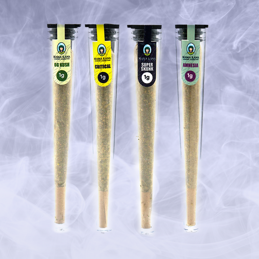 Pack  CBD 🎁 Pré-rolos 🧘 (100% de desconto)