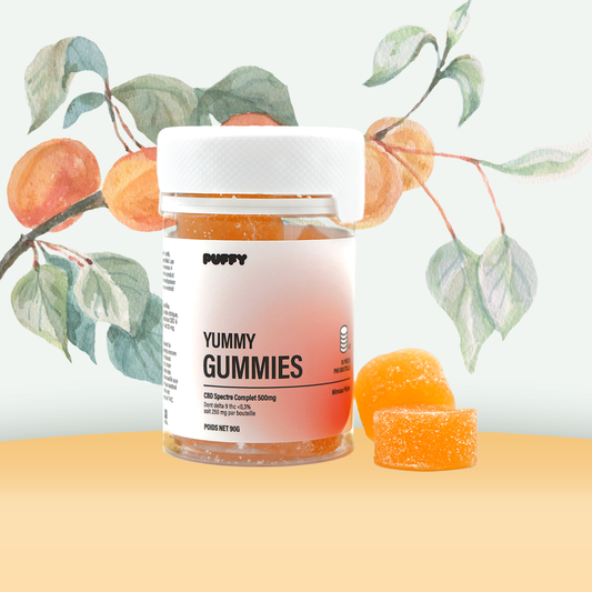 Gummier THC 25 mg & CBD 25 mg - Persika Mimosa 🍑