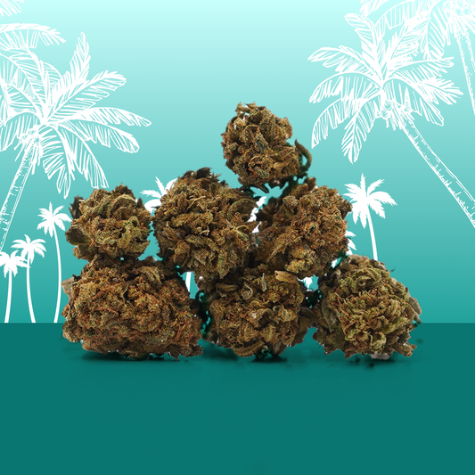 Hawaiian CBD Small Buds 🌴