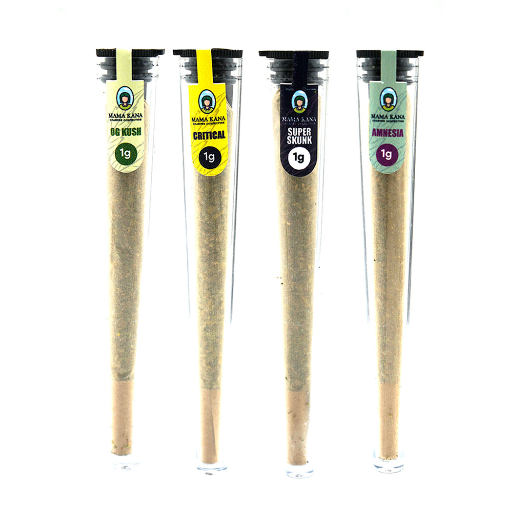 Pack découverte Pre-rolls CBD 🧘