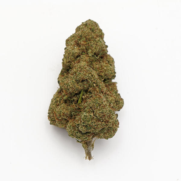 White Widow CBD 🕸 [Indoor]