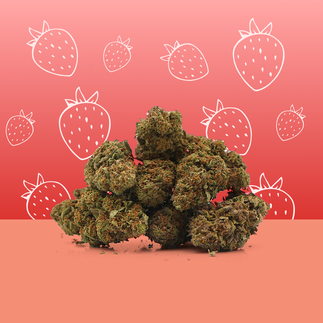Strawberry CBD [intérieur]
