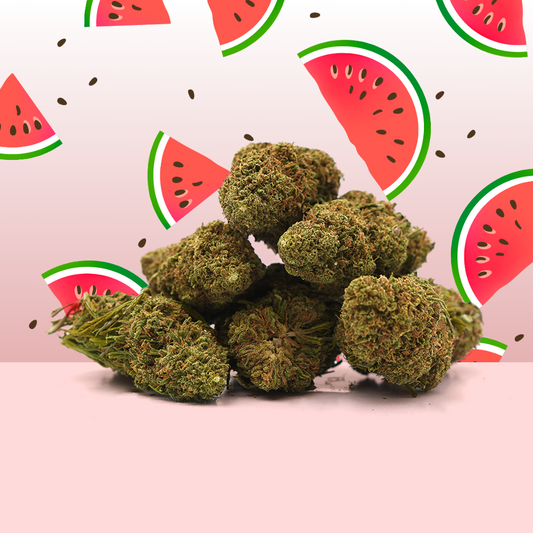 🎁 Watermelon CBD 🍉 [Outdoor] (100% de desconto)