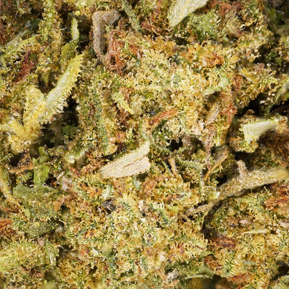 Zkittlez CBD 🍬 [Greenhouse]