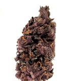 Purple Haze CBD 🔮 [Intérieur]