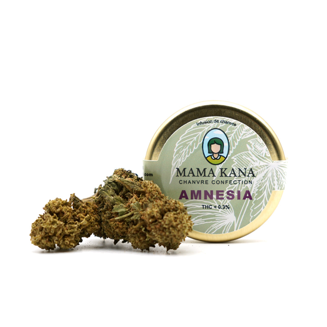 Amnesia CBD Indoor 🌌 Flor de CBD naturalmente potente