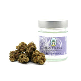 Arándano CBD 🍇 [Greenhouse]