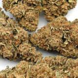 Gorilla Glue CBD 🦍 [Indoor]