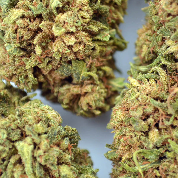 Critical CBD